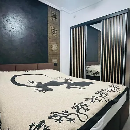 Modern Bnl Torrevieja